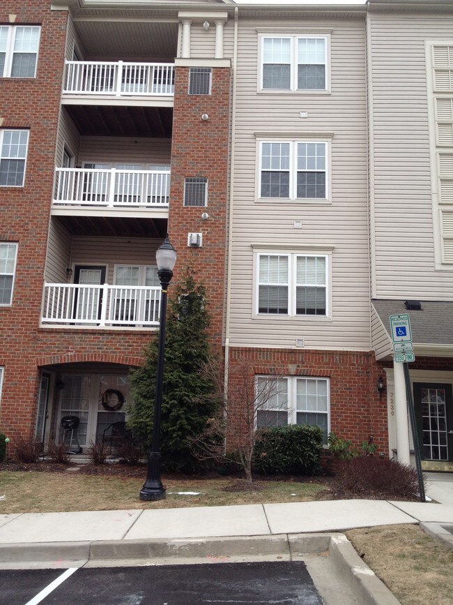 7230 Darby Downs Elkridge, MD 21075 Rentals Elkridge, MD