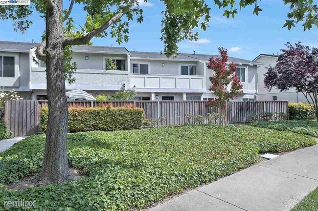 Foto del edificio - 3 br, 1.5 bath Townhome - 4059 Lorenzo ter