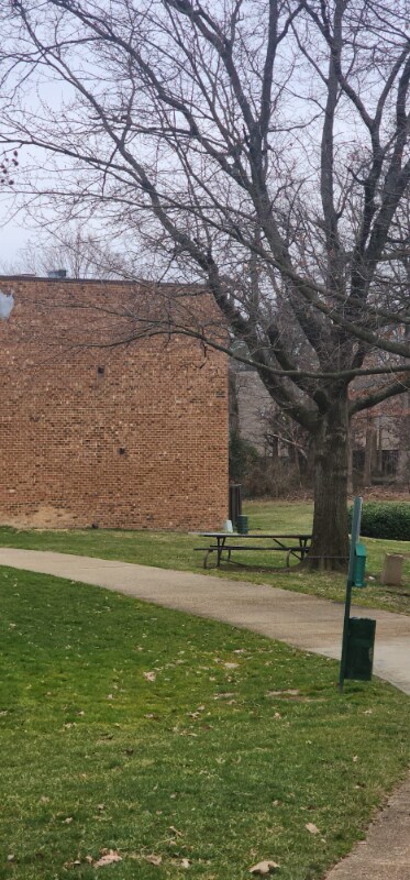 Foto del edificio - 8463 Greenbelt Rd