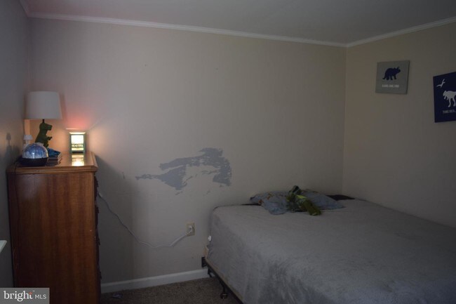 Building Photo - 7429 Bayside Dr