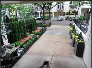 Tree lined street - 1339 N Dearborn St