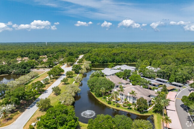 3350 Mermoor DR Palm Harbor, FL - Farrell Park Condos