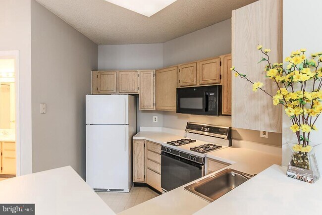 Foto del edificio - 14322 Climbing Rose Way