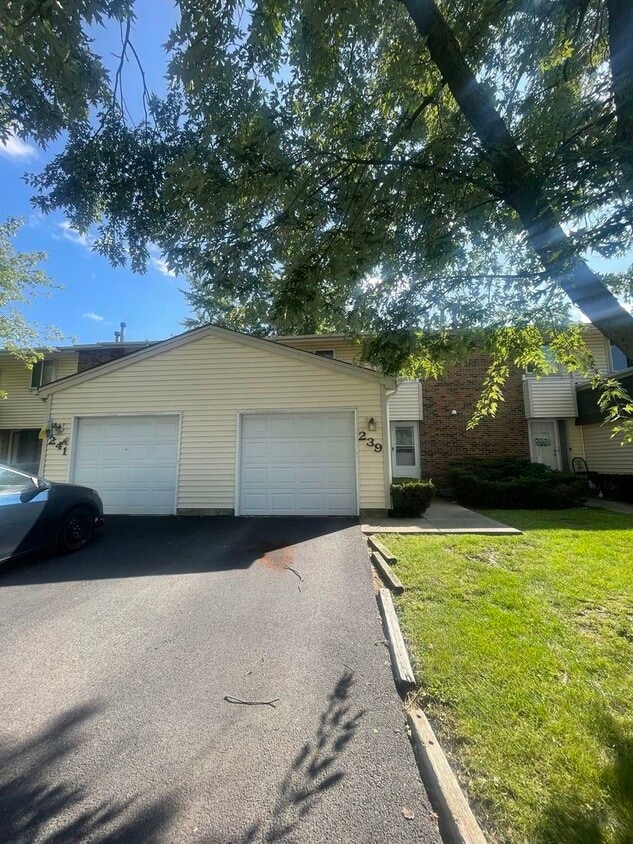 239 Diane Ln, Bolingbrook, IL 60440 Townhome Rentals in Bolingbrook