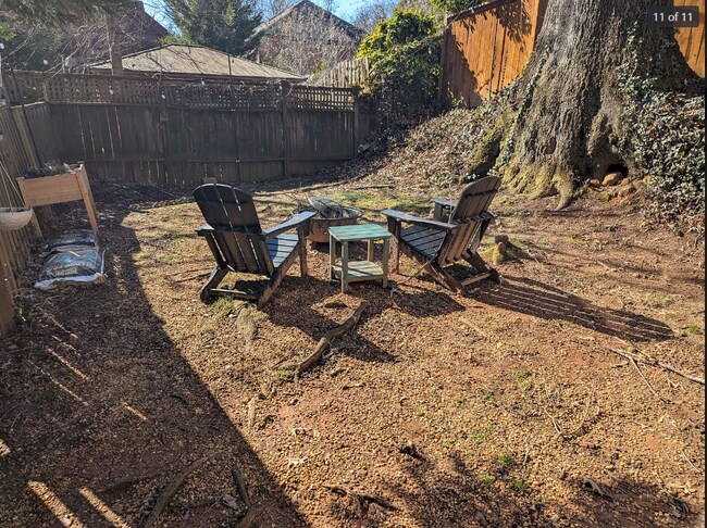 Backyard - 1085 Bellevue Dr NE