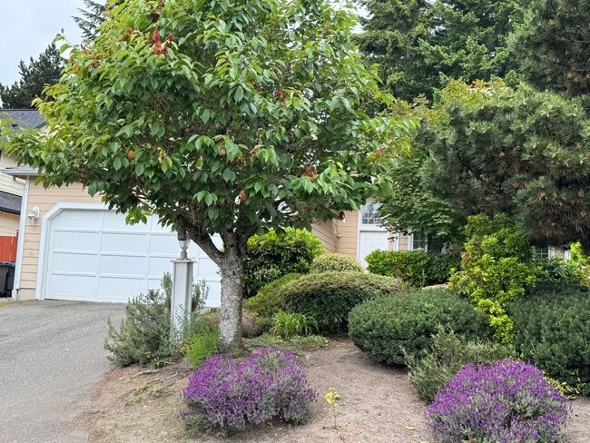 Foto del edificio - Desirable Silverdale Ridgetop neighborhood