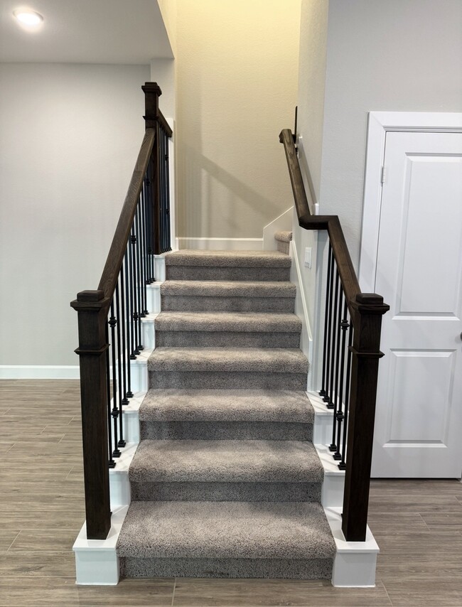 Foto del edificio - 3323 Full Bellied Ln