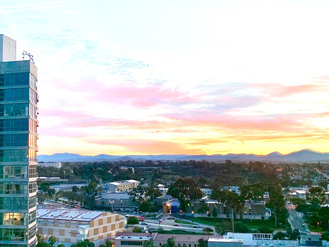 Morning sunrise from living room - 801 Ash St