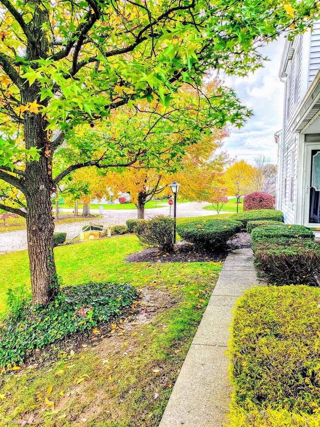 Building Photo - 2 br, 1.5 bath Condo - Bretton North Condo...