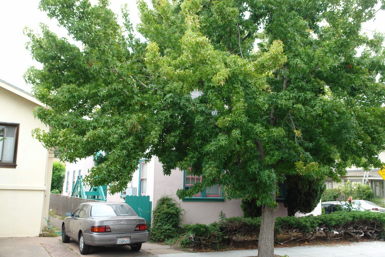 Foto del edificio - 457-463 Hardy St