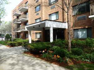 Foto principal - 2 bedroom in Brookline MA 02446