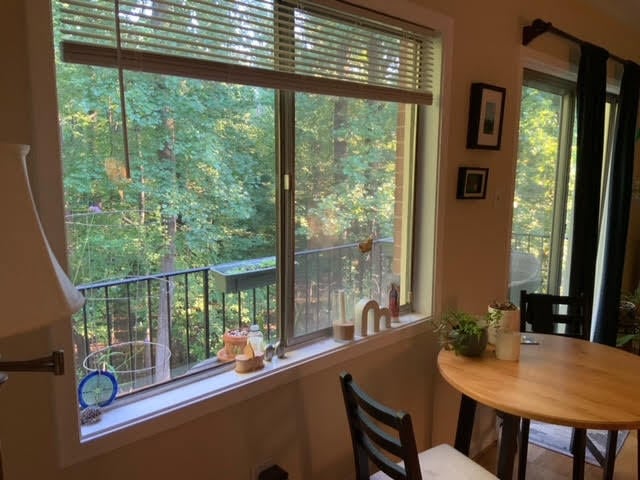 Plenty of natural lighting with treetop views - 10631 Weymouth St