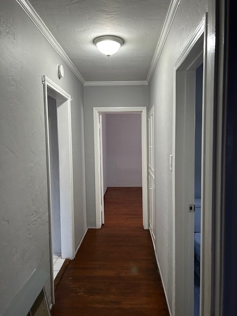 Hallway - 2145 San Francisco Ave