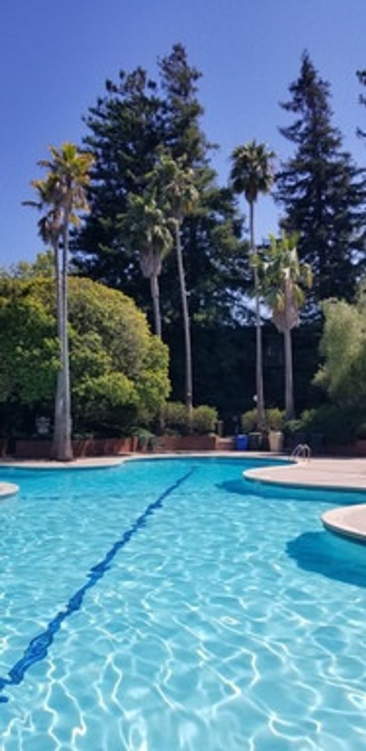Foto del edificio - Spacious 1-bed 1-bath condo now available ...