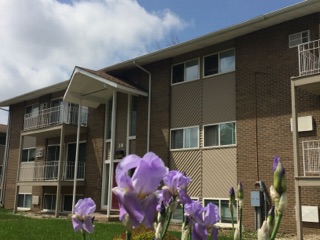 Building Photo - Village Shore Apartments