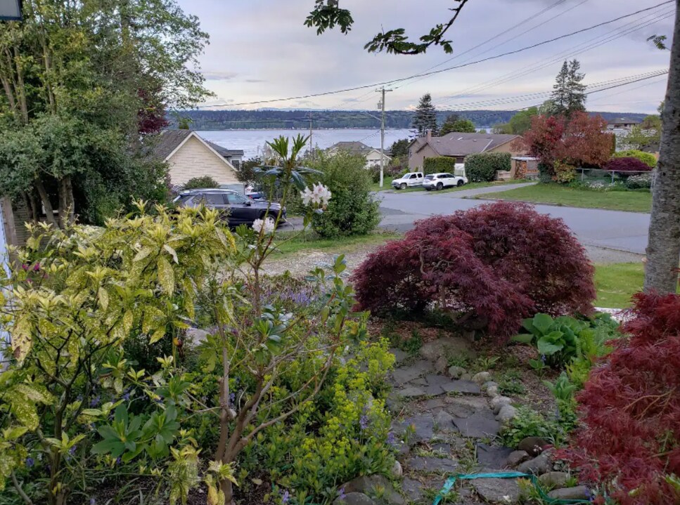 611 Colwyn St Unit 1, Campbell River, BC V9W 2X2 Apartment for Rent in Campbell River, BC