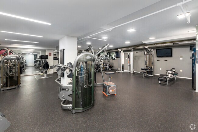 Gimnasio - Seventy1Hundred