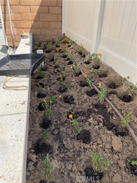 Building Photo - 19459 Melogold Cir