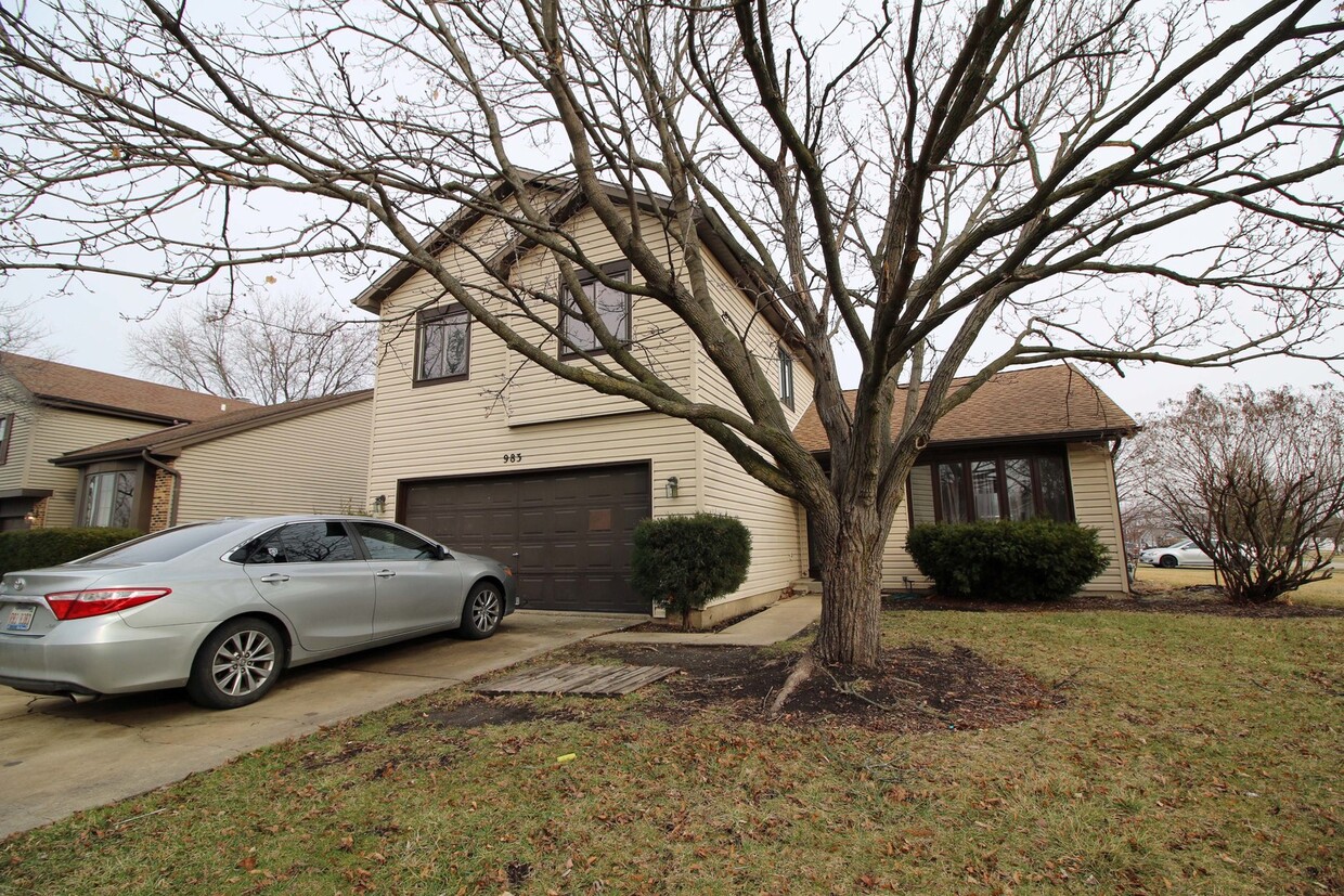 983 Valleyview Dr, Bartlett, IL 60103 House Rental in Bartlett, IL