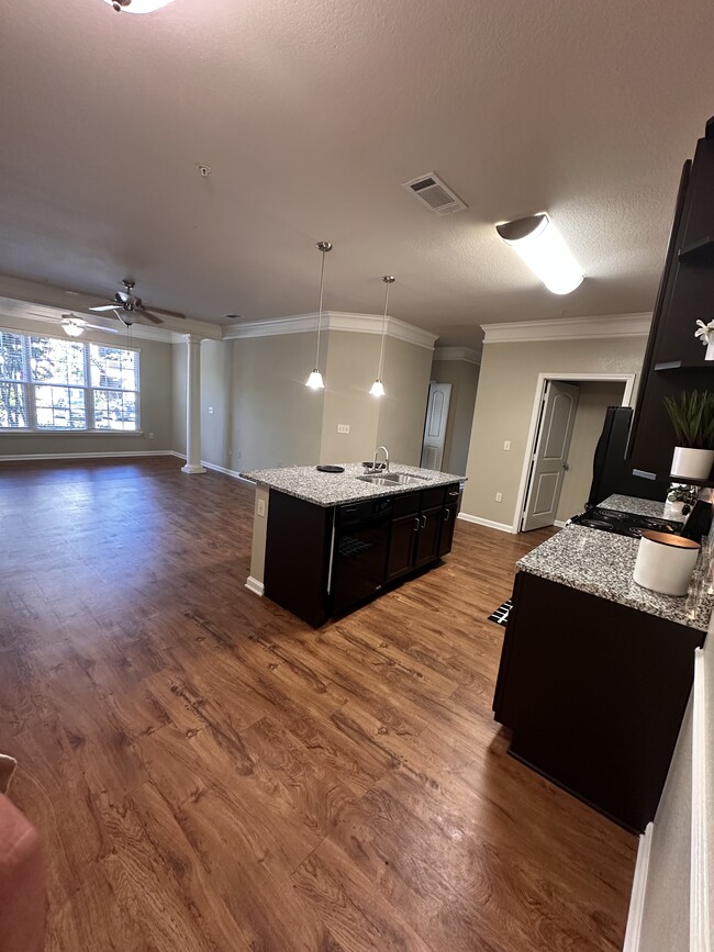Phase 2 Upgraded Unit - Palisades of Blythewood I and II