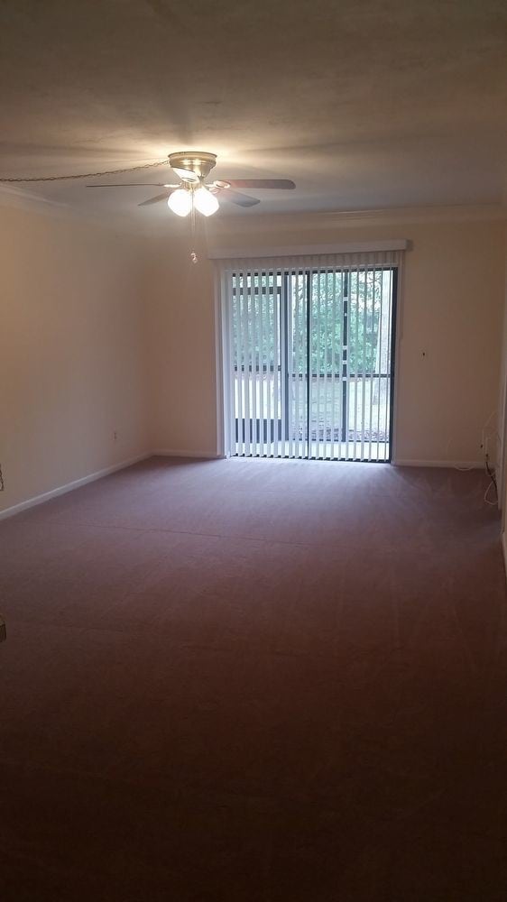 Building Photo - HOLLY TREE