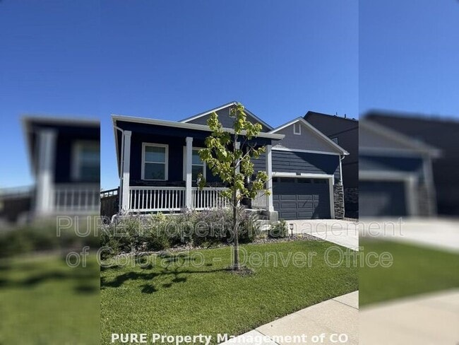 Building Photo - 6378 N Halifax Ct