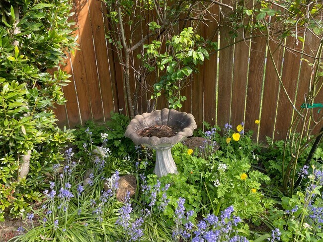 Building Photo - Lovely Freeland Home with Secret Garden an...