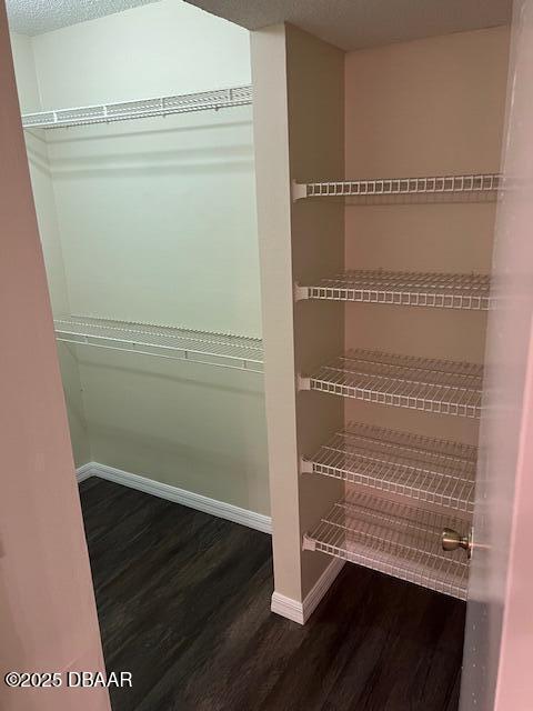 Building Photo - 1401 S Palmetto Ave