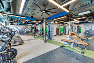 Interior Photo - Olive & Wooster