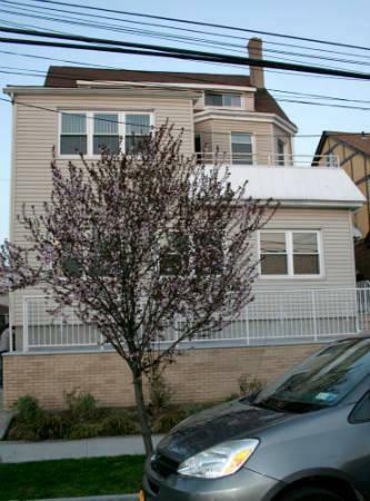 Front of home - 4029 204th St