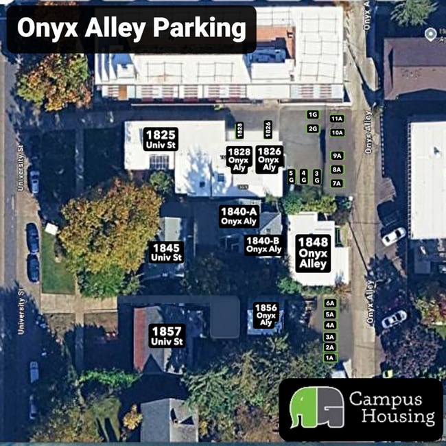 Photo - 1825 University St Apartment