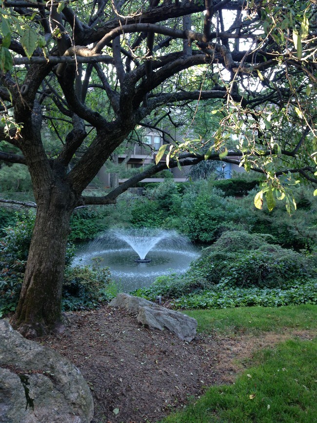 1465 E Putnam Ave Unit 315, Greenwich, CT 06870 Condo for Rent in