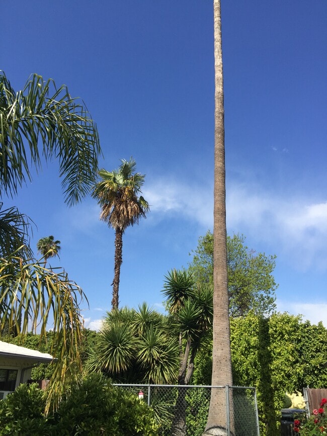 Foto del edificio - 263 N Florence St