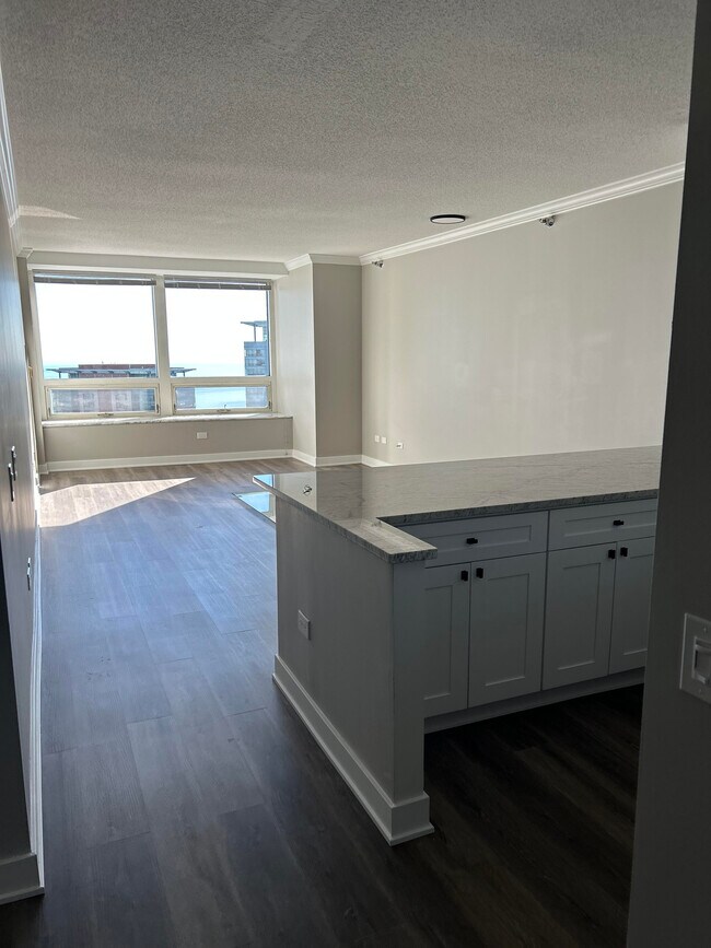 Sala de estar - 512 N McClurg Ct