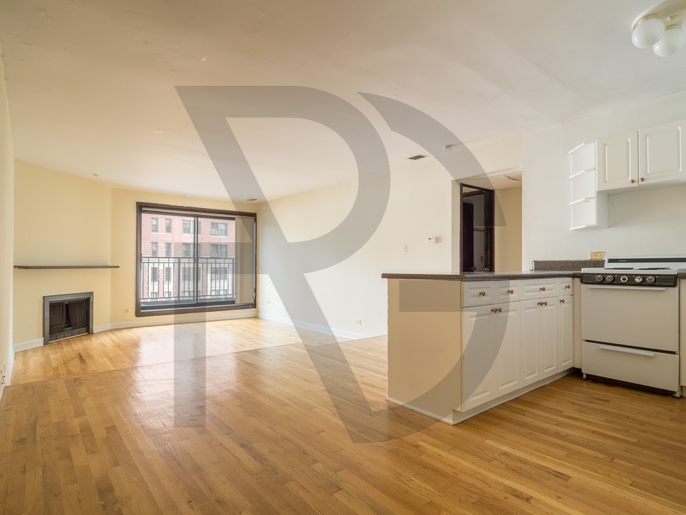 Primary Photo - 1220 N La Salle Dr