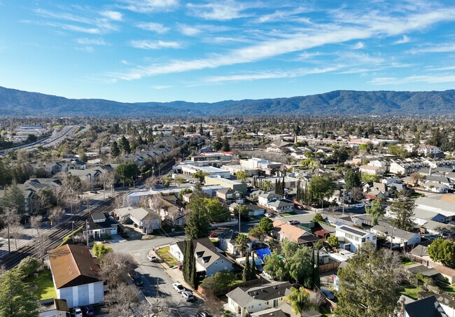 Trees spring up between homes in Campbell.