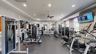 Located at 900 Grand Central Dr in Hamilton, NJ, this fitness center offers a generously sized, single-floor exercise room designed to support a full range of workout routines. The space features an elegant tray ceiling with crown molding, recessed lighting, and a ceiling fan that together create a bright, comfortable environment for exercise.

The room is thoughtfully organized into distinct training zones. Along one side, a lineup of Matrix-brand cardio machines — including treadmills, ellipticals, and stationary bikes — provides ample options for aerobic workouts. Multiple wall-mounted flat-screen televisions are positioned throughout for entertainment. A dedicated free weights area includes a full rack of dumbbells and workout benches, while a variety of cable and resistance machines supports comprehensive strength training.

Large windows along the walls allow natural light to fill the space and offer views of the surrounding outdoor greenery. Full-length mirrors are strategically placed to enhance the sense of openness and assist with form during exercise. The durable rubber flooring provides safe footing across all training zones. The neutral gray and white color palette, combined with classic architectural detailing, gives the fitness center a polished, welcoming atmosphere suited for daily use.