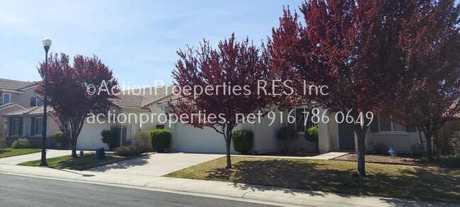 Building Photo - West Park -3 Bedroom, 2 Bath,  Single Stor...