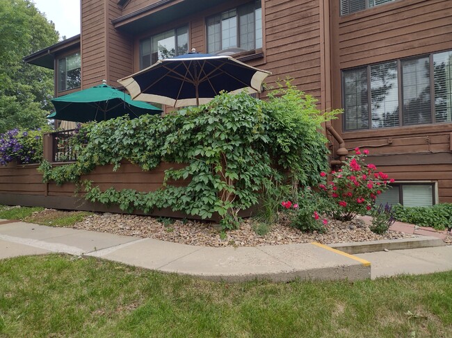 Exterior patio wall and rear of unit - 8045 Holland Ct