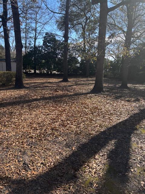 Foto del edificio - 17 Sam Smith St