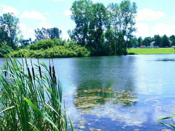 Foto del edificio - 2 br, 1 bath Apartment - Lakeview Apartmen...