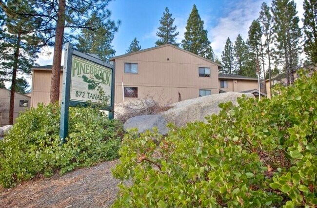 Fotografía del edificio - 872 Tanager St