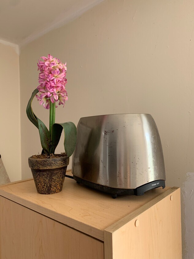 Foto principal - 137 N Stanley Dr