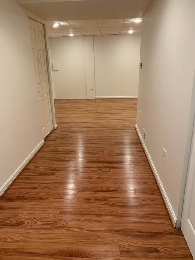 Basement - 1188 Gator Ct