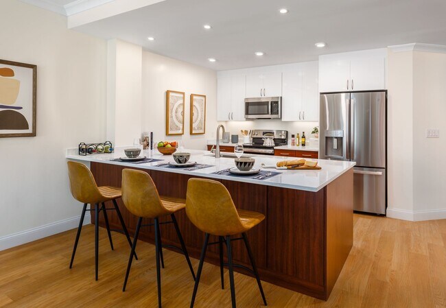 Building Photo - LUXURY 1BED IN CHESTNUT HILL - NEW FINISHE...