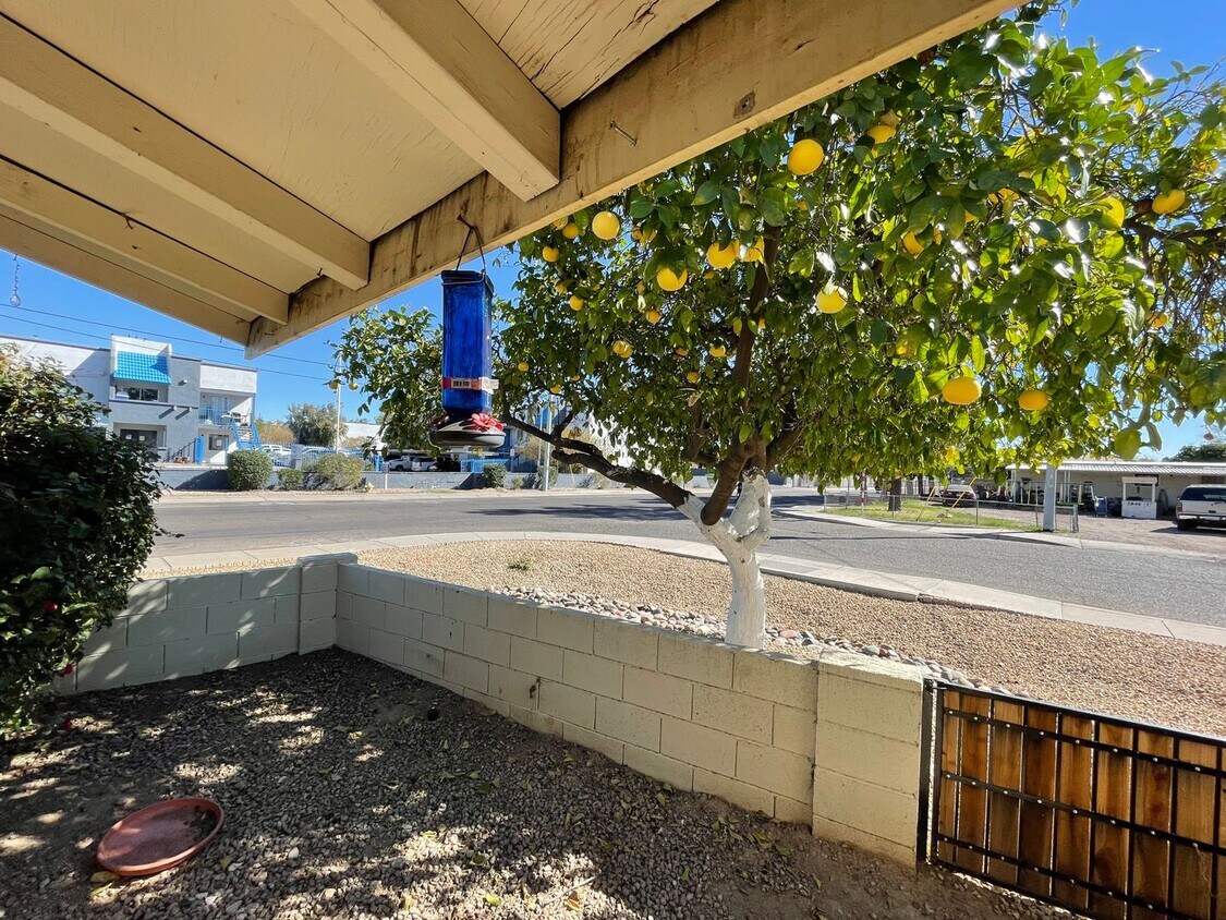 Foto principal - Paradise Valley Apartments