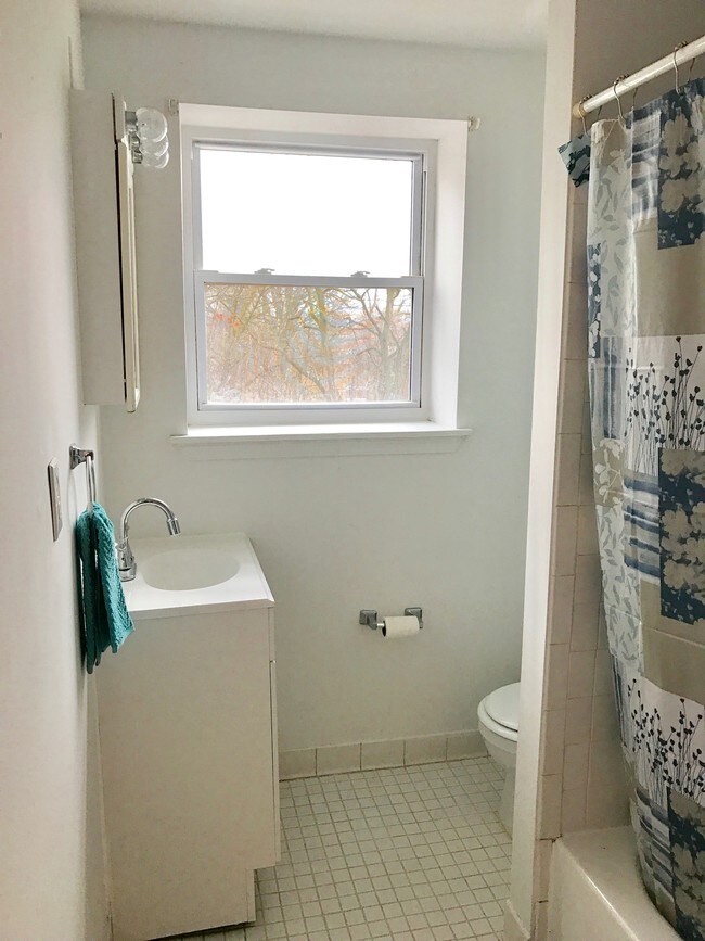 Updated Bath - 485 Antietam Dr