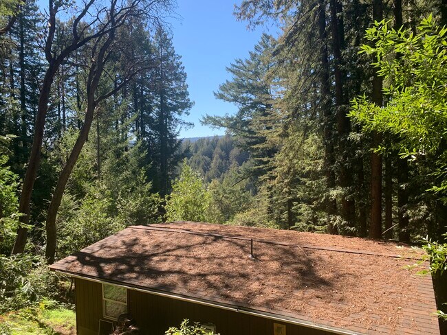 Views - 11377 Lakeview Ave