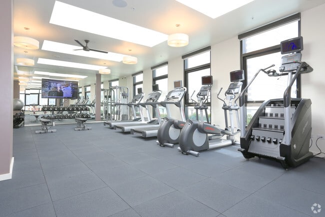 Interior Photo - Olume