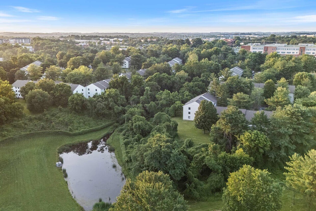 Foto principal - Seneca Place